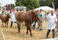 Malton Show 2023. Images courtesy of Andy Bulmer.
